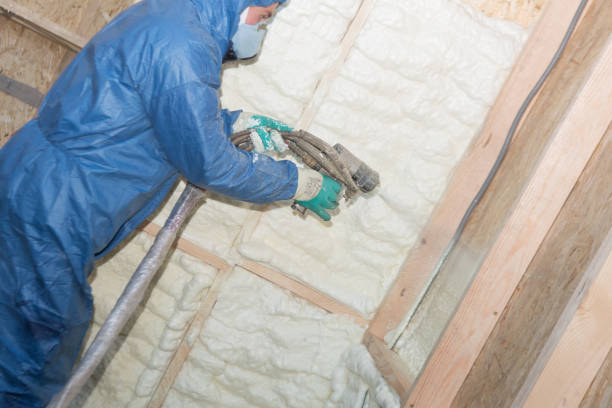 Best Attic Insulation Installation  in Naval Academy, MD